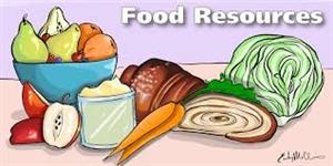 food resources 
